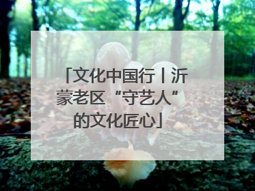 文化中国行丨沂蒙老区“守艺人”的文化匠心