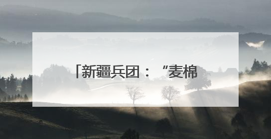 新疆兵团：“麦棉+西瓜”高效种植模式奏响致富曲