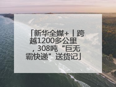 新华全媒+丨跨越1200多公里，308吨“巨无霸快递”送货记