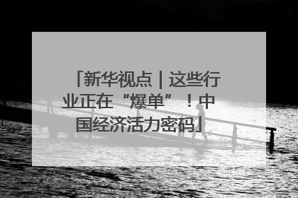 新华视点｜这些行业正在“爆单”！中国经济活力密码