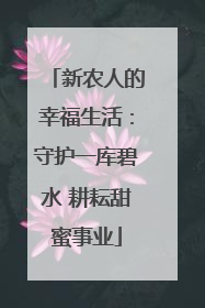 新农人的幸福生活：守护一库碧水 耕耘甜蜜事业
