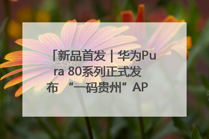 新品首发｜华为Pura 80系列正式发布 “一码贵州”APP抢先开售！