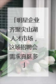 明星企业齐聚尖山湖人才市场，这场招聘会需求真挺多