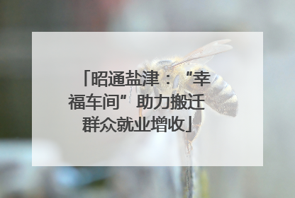 昭通盐津：“幸福车间”助力搬迁群众就业增收