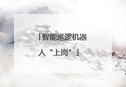 智能巡逻机器人“上岗”