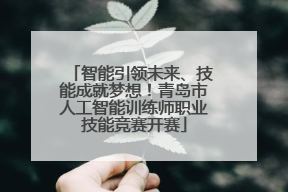 智能引领未来、技能成就梦想！青岛市人工智能训练师职业技能竞赛开赛