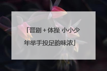 晋剧＋体操 小小少年举手投足韵味浓