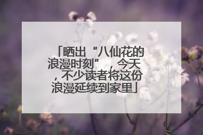 晒出“八仙花的浪漫时刻”，今天，不少读者将这份浪漫延续到家里