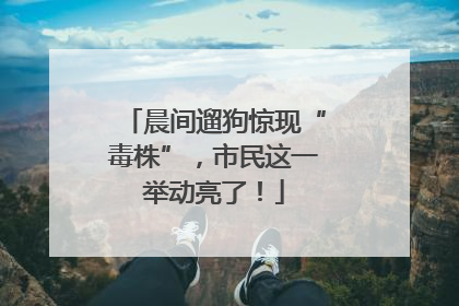 晨间遛狗惊现“毒株”，市民这一举动亮了！