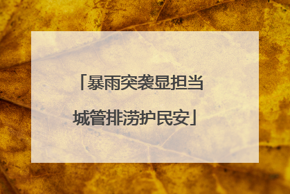暴雨突袭显担当 城管排涝护民安