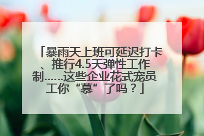 暴雨天上班可延迟打卡、推行4.5天弹性工作制……这些企业花式宠员工你“慕”了吗？