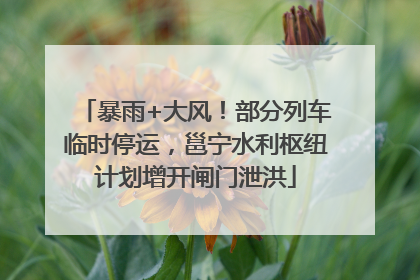 暴雨+大风！部分列车临时停运，邕宁水利枢纽计划增开闸门泄洪