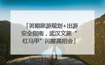 暑期旅游规划+出游安全指南，武汉文旅“红马甲”闪耀高招会