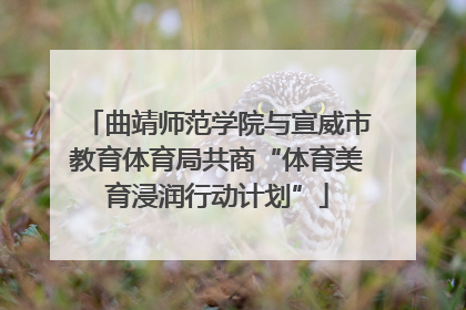 曲靖师范学院与宣威市教育体育局共商“体育美育浸润行动计划”