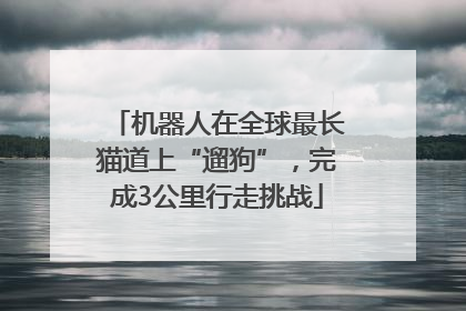 机器人在全球最长猫道上“遛狗”，完成3公里行走挑战
