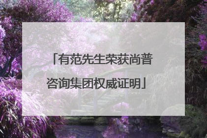 有范先生荣获尚普咨询集团权威证明