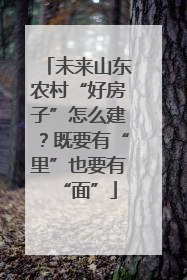 未来山东农村“好房子”怎么建？既要有“里”也要有“面”
