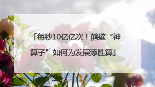 每秒10亿亿次！鹤壁“神算子”如何为发展添胜算