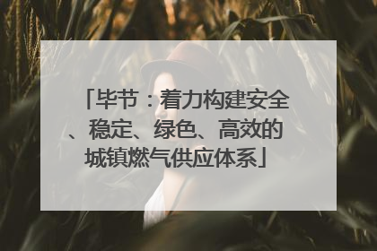 毕节：着力构建安全、稳定、绿色、高效的城镇燃气供应体系