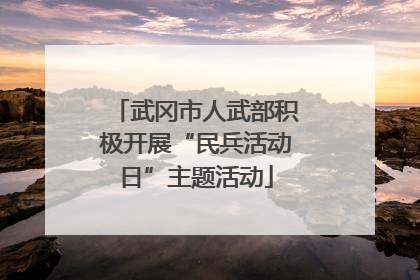 武冈市人武部积极开展“民兵活动日”主题活动