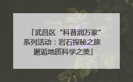 武昌区“科普润万家”系列活动：岩石探秘之旅 邂逅地质科学之美