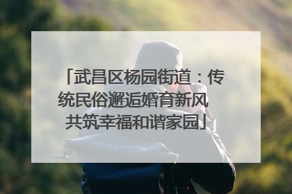 武昌区杨园街道：传统民俗邂逅婚育新风 共筑幸福和谐家园