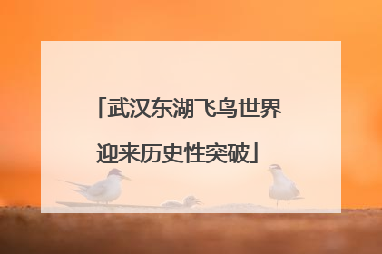 武汉东湖飞鸟世界迎来历史性突破