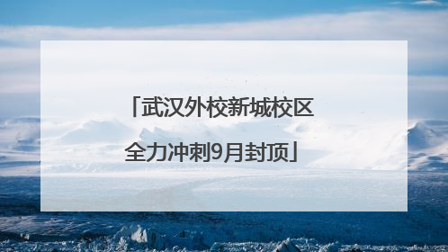 武汉外校新城校区全力冲刺9月封顶