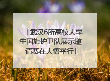 武汉6所高校大学生国旗护卫队展示邀请赛在大悟举行