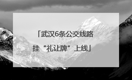 武汉6条公交线路挂“礼让牌”上线
