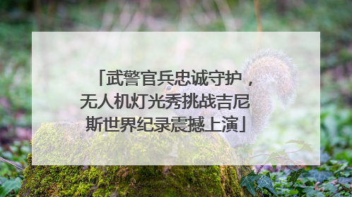 武警官兵忠诚守护，无人机灯光秀挑战吉尼斯世界纪录震撼上演
