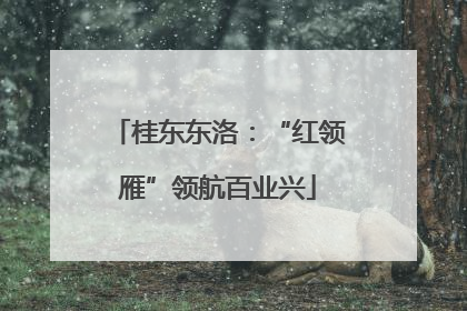桂东东洛：“红领雁”领航百业兴