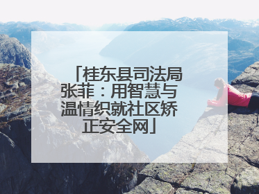 桂东县司法局张菲：用智慧与温情织就社区矫正安全网