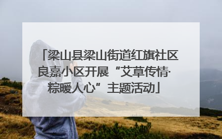 梁山县梁山街道红旗社区良嘉小区开展“艾草传情·粽暖人心”主题活动