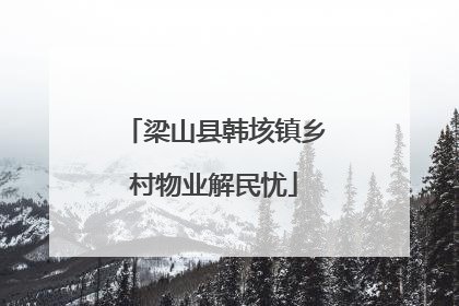 梁山县韩垓镇乡村物业解民忧
