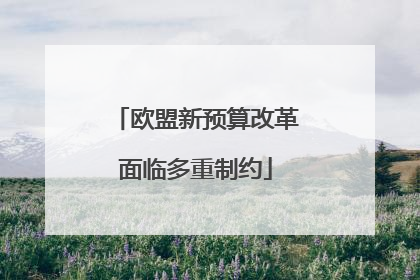 欧盟新预算改革面临多重制约
