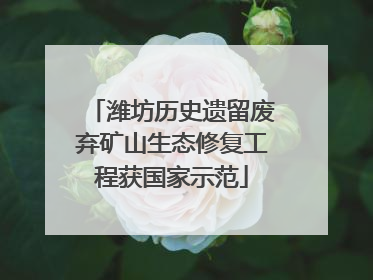 潍坊历史遗留废弃矿山生态修复工程获国家示范