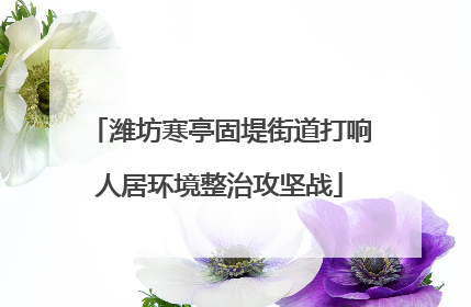 潍坊寒亭固堤街道打响人居环境整治攻坚战