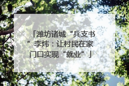 潍坊诸城“兵支书”李炜：让村民在家门口实现“就业”