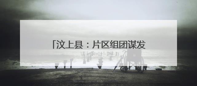 汶上县：片区组团谋发展 共绘振兴新画卷