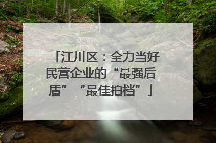 江川区：全力当好民营企业的“最强后盾”“最佳拍档”