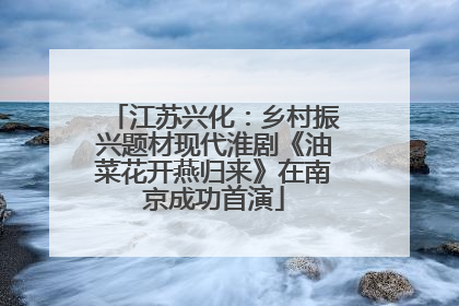 江苏兴化：乡村振兴题材现代淮剧《油菜花开燕归来》在南京成功首演