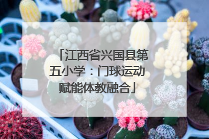 江西省兴国县第五小学：门球运动赋能体教融合