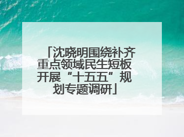 沈晓明围绕补齐重点领域民生短板开展“十五五”规划专题调研