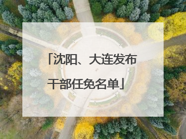沈阳、大连发布干部任免名单