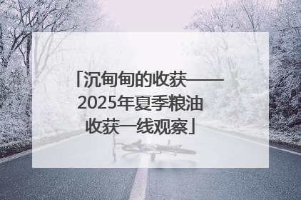沉甸甸的收获——2025年夏季粮油收获一线观察