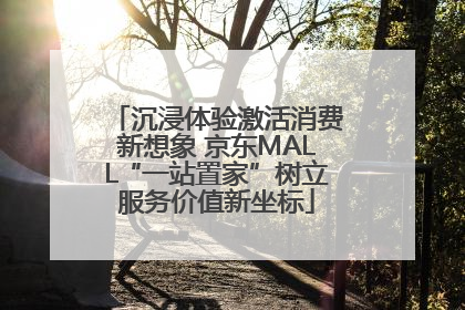 沉浸体验激活消费新想象 京东MALL“一站置家”树立服务价值新坐标