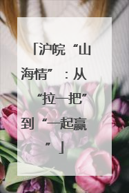 沪皖“山海情”：从“拉一把”到“一起赢”