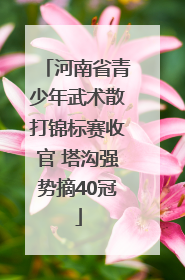 河南省青少年武术散打锦标赛收官 塔沟强势摘40冠