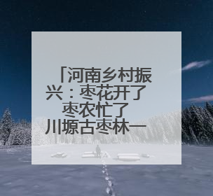 河南乡村振兴：枣花开了 枣农忙了 川塬古枣林一派生机